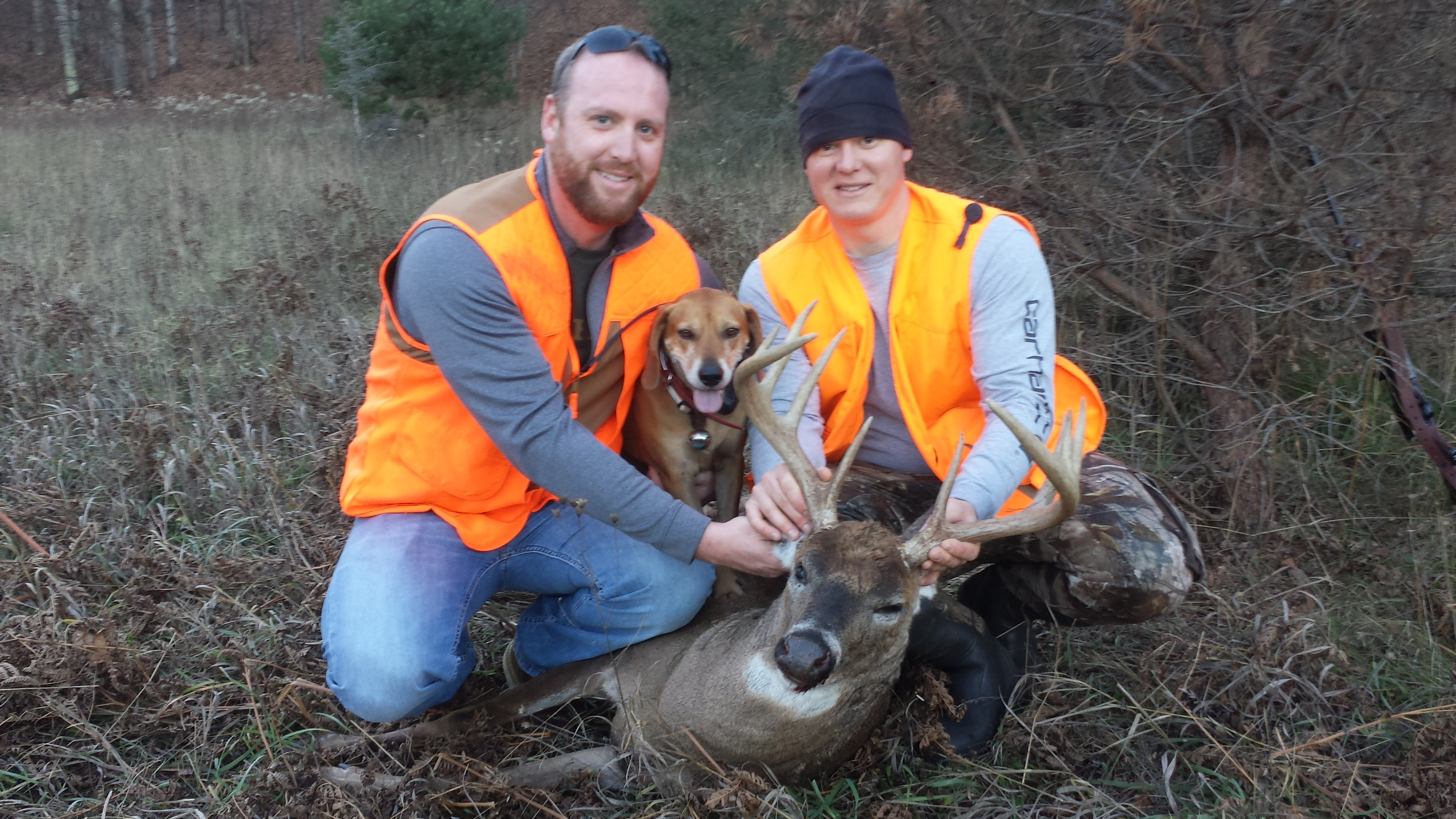 Traverse City Deer Dog Tracking Nov 17 2016