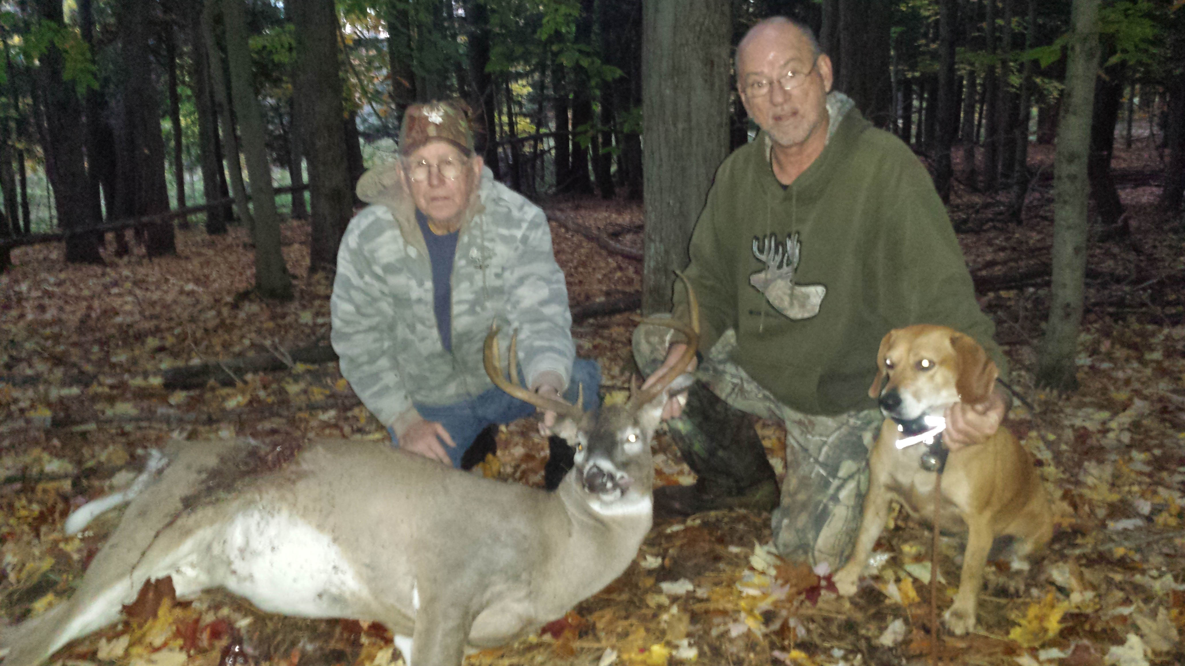 Traverse City Deer Dog Tracking Oct 26 2016