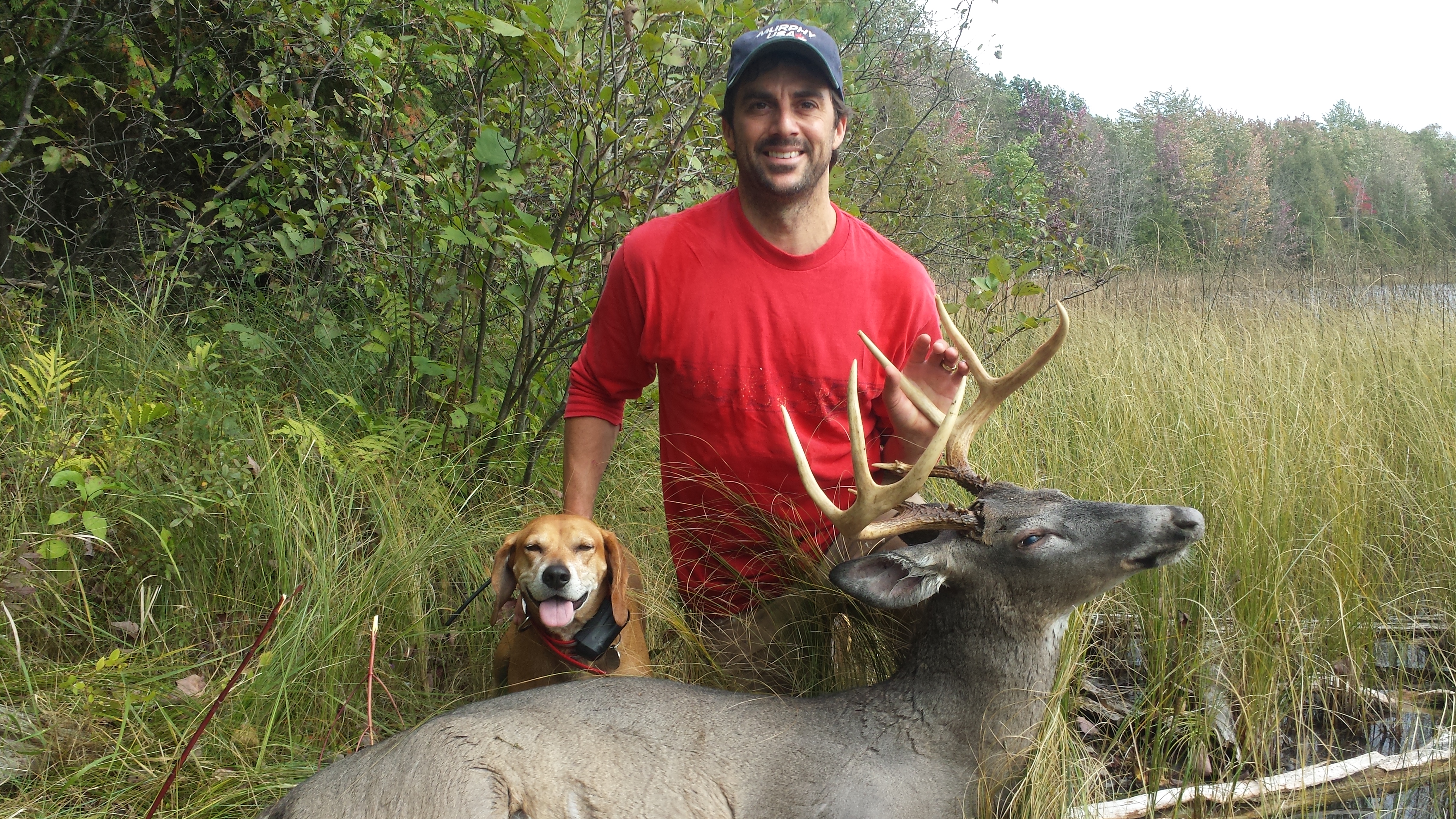 Traverse City Deer Dog Tracking October 2017
