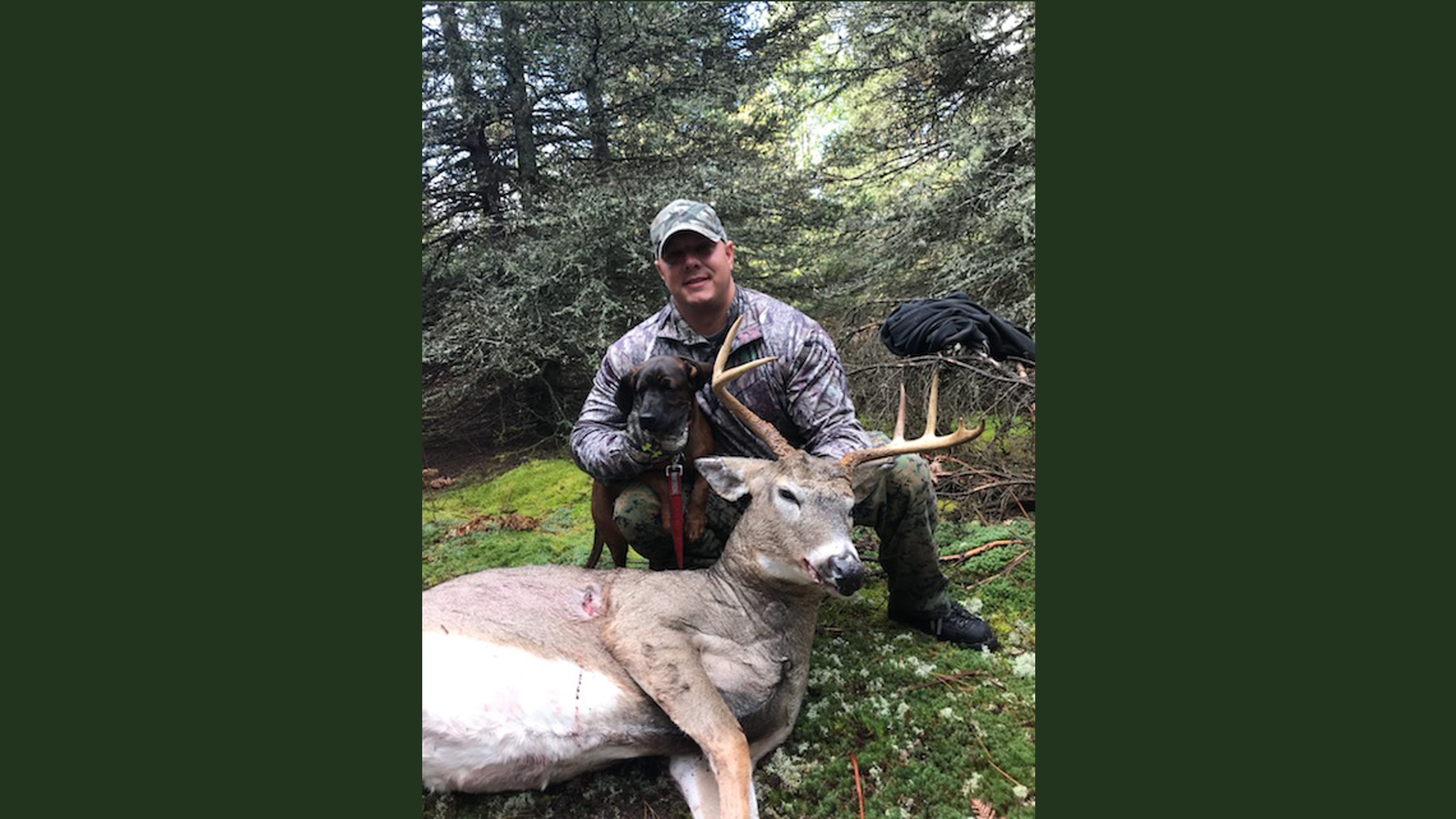 Traverse City Deer Dog Tracking October 2017