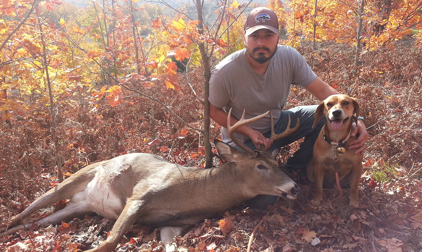 Deer Dog Stan tracking the buck M72 by the Hayloft 