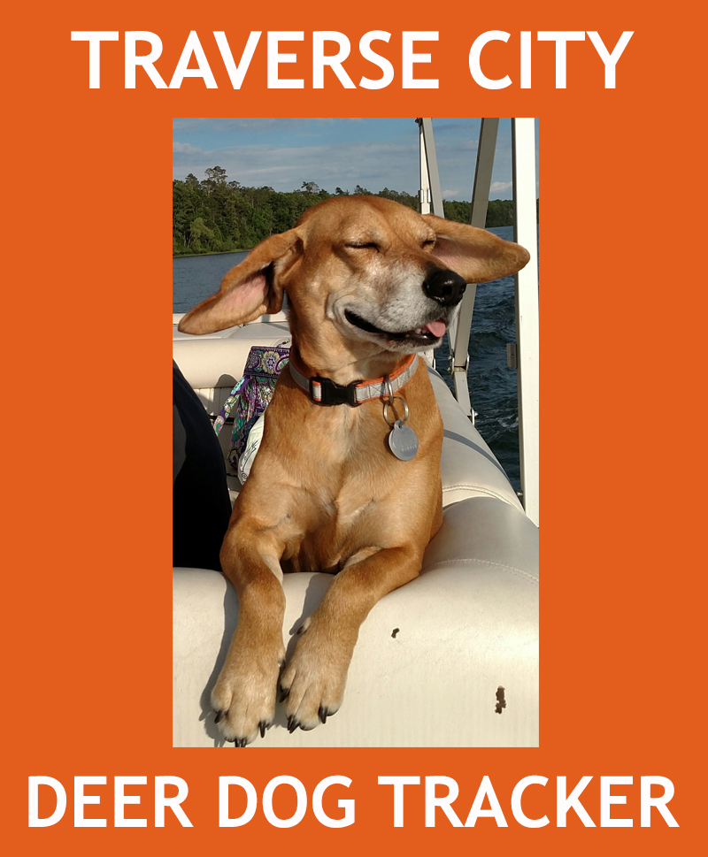 Traverse City Deer Dog Tracker, Michigan